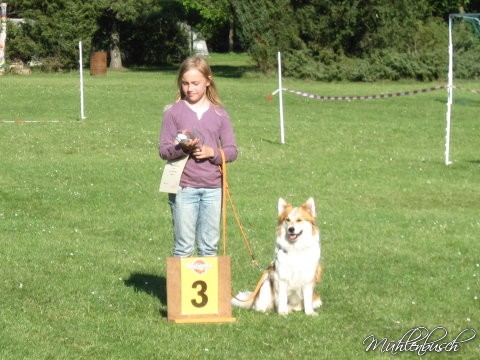 Amanda mit Elo Paula dritter Platz schönster Kleinelo glatthaar